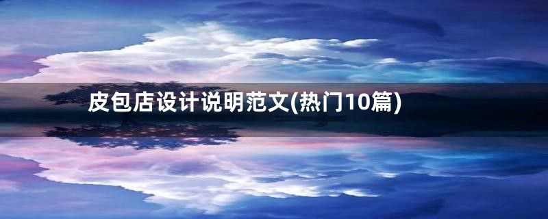 皮包店设计说明范文(热门10篇)