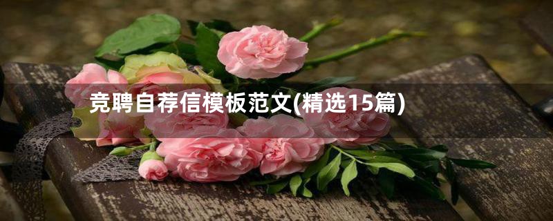 竞聘自荐信模板范文(精选15篇)