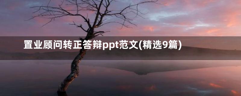置业顾问转正答辩ppt范文(精选9篇)
