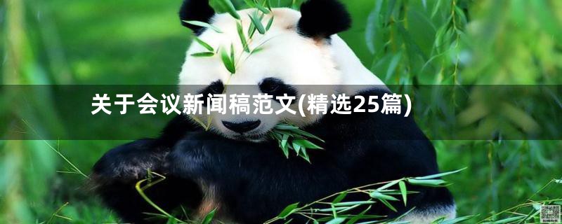 关于会议新闻稿范文(精选25篇)