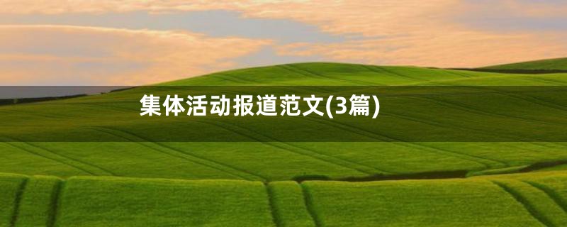 集体活动报道范文(3篇)