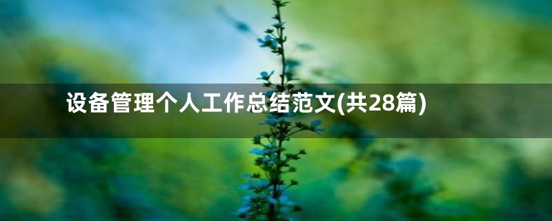设备管理个人工作总结范文(共28篇)