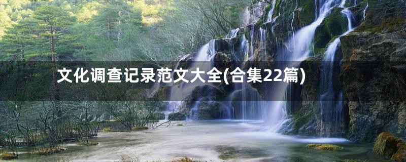 文化调查记录范文大全(合集22篇)