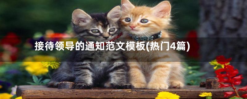 接待领导的通知范文模板(热门4篇)
