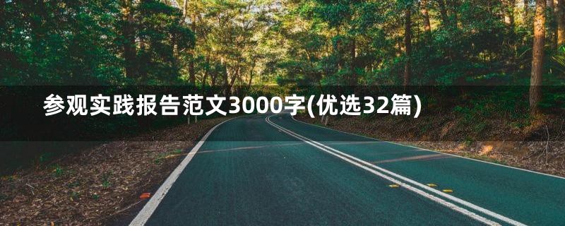 参观实践报告范文3000字(优选32篇)
