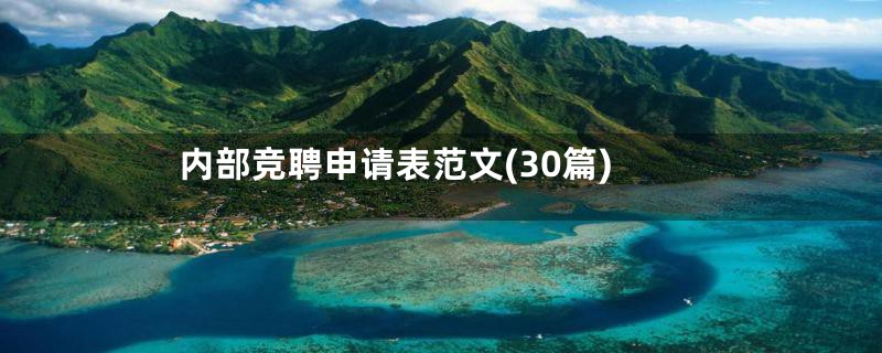 内部竞聘申请表范文(30篇)