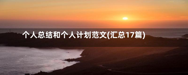 个人总结和个人计划范文(汇总17篇)