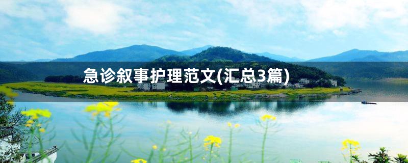 急诊叙事护理范文(汇总3篇)