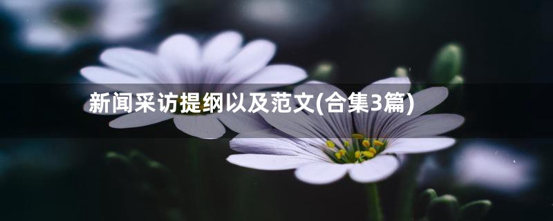 新闻采访提纲以及范文(合集3篇)