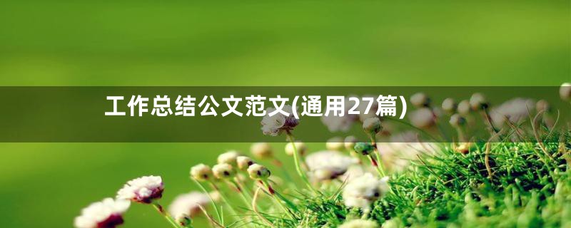 工作总结公文范文(通用27篇)