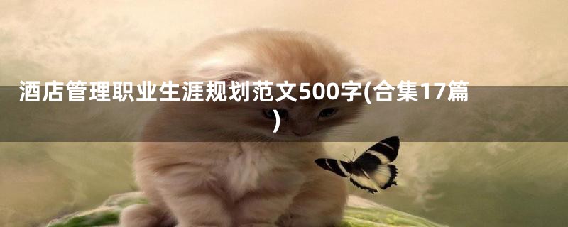 酒店管理职业生涯规划范文500字(合集17篇)