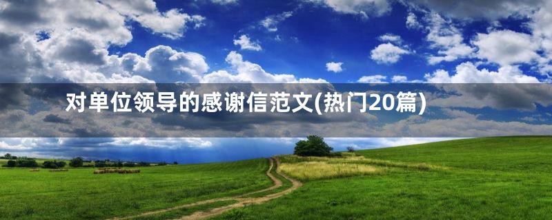 对单位领导的感谢信范文(热门20篇)