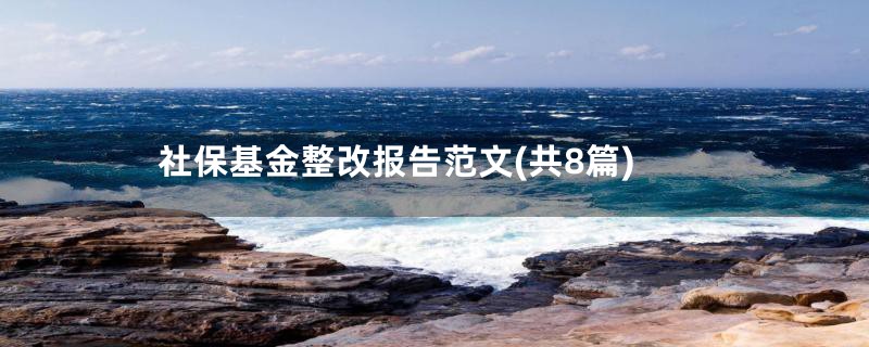 社保基金整改报告范文(共8篇)