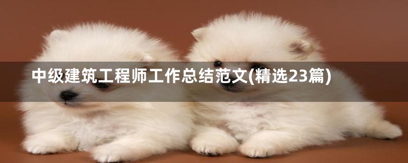 中级建筑工程师工作总结范文(精选23篇)