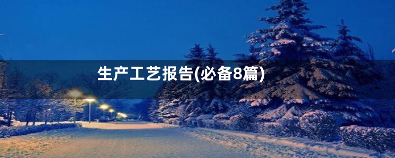 生产工艺报告(必备8篇)