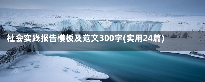 社会实践报告模板及范文300字(实用24篇)