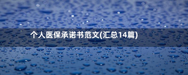 个人医保承诺书范文(汇总14篇)
