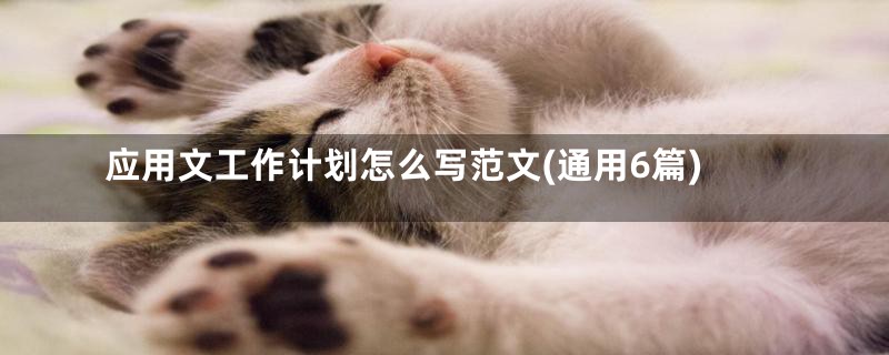 应用文工作计划怎么写范文(通用6篇)
