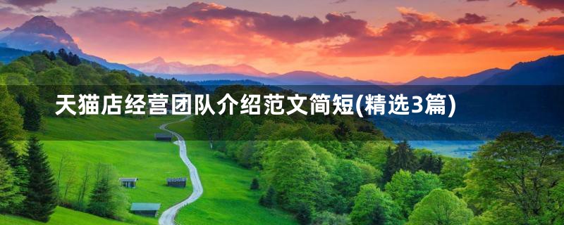 天猫店经营团队介绍范文简短(精选3篇)
