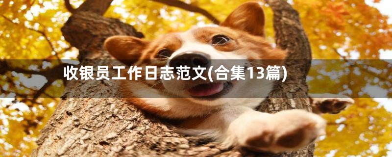收银员工作日志范文(合集13篇)