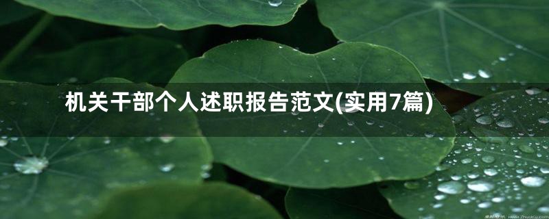 机关干部个人述职报告范文(实用7篇)