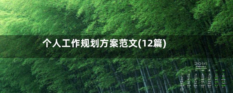 个人工作规划方案范文(12篇)