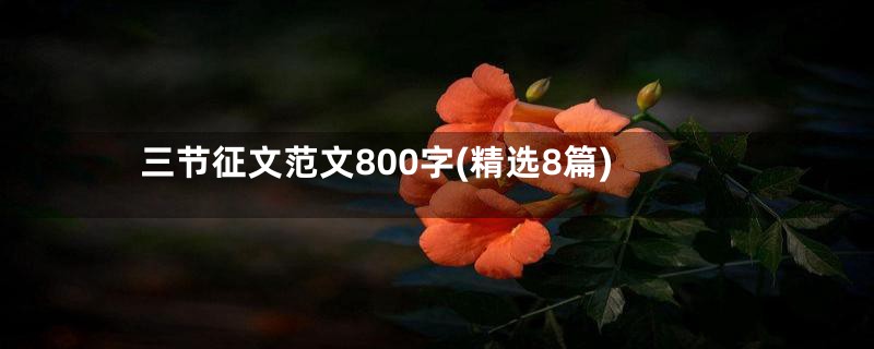三节征文范文800字(精选8篇)