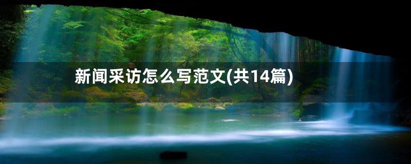 新闻采访怎么写范文(共14篇)