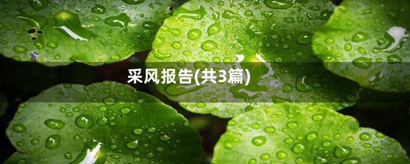 采风报告(共3篇)