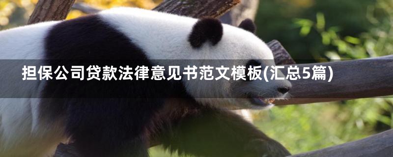担保公司贷款法律意见书范文模板(汇总5篇)