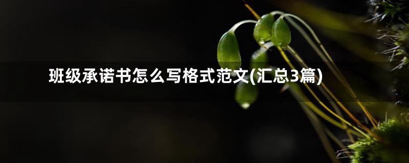 班级承诺书怎么写格式范文(汇总3篇)