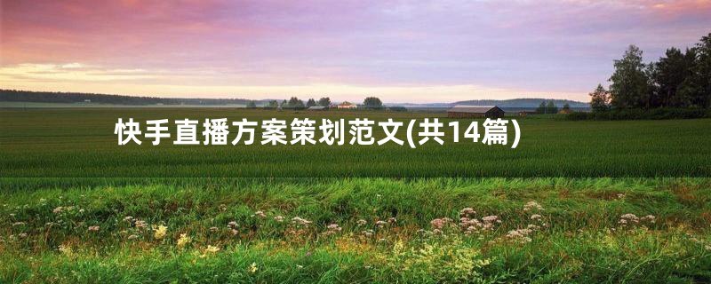 快手直播方案策划范文(共14篇)