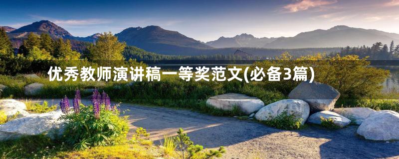 优秀教师演讲稿一等奖范文(必备3篇)
