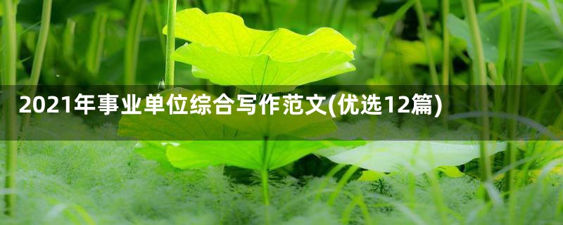 2021年事业单位综合写作范文(优选12篇)