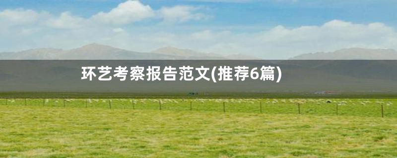 环艺考察报告范文(推荐6篇)