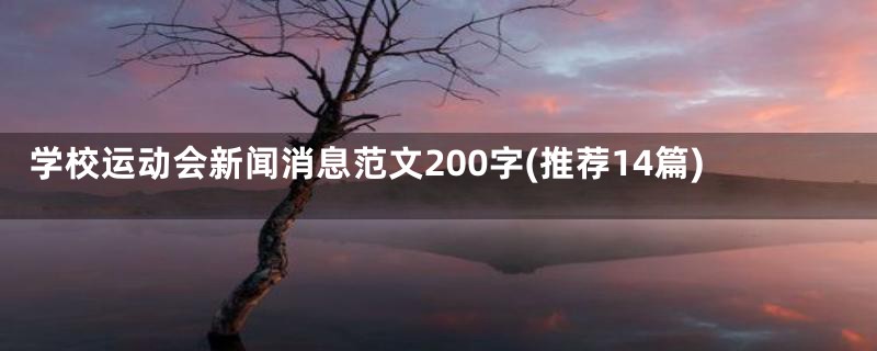 学校运动会新闻消息范文200字(推荐14篇)