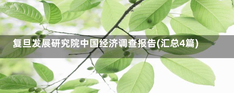 复旦发展研究院中国经济调查报告(汇总4篇)