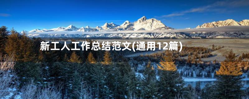 新工人工作总结范文(通用12篇)