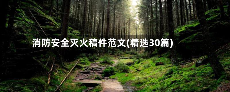 消防安全灭火稿件范文(精选30篇)