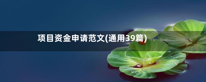 项目资金申请范文(通用39篇)