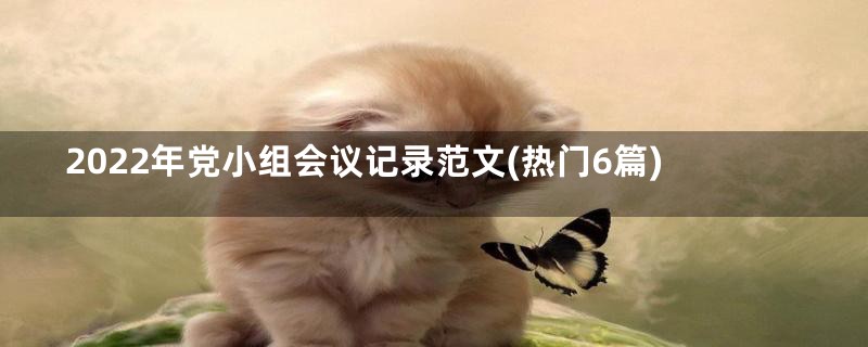 2022年党小组会议记录范文(热门6篇)
