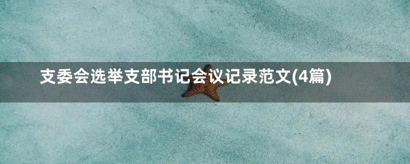支委会选举支部书记会议记录范文(4篇)