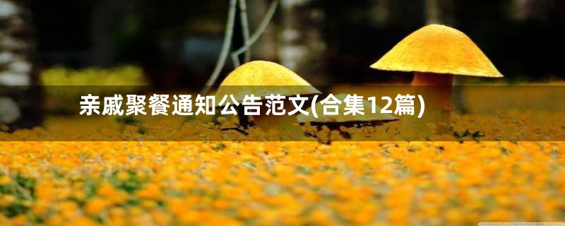 亲戚聚餐通知公告范文(合集12篇)