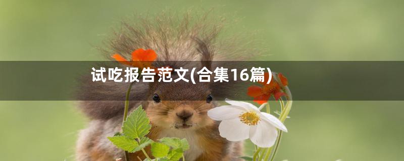 试吃报告范文(合集16篇)