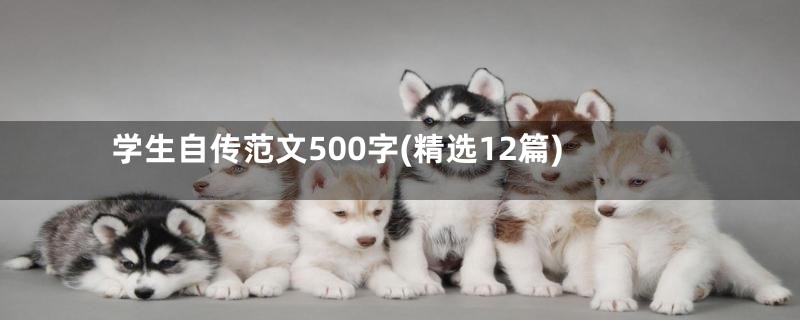 学生自传范文500字(精选12篇)