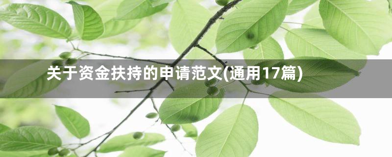 关于资金扶持的申请范文(通用17篇)