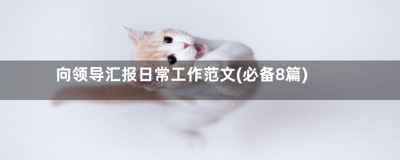 向领导汇报日常工作范文(必备8篇)