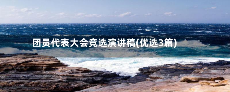 团员代表大会竞选演讲稿(优选3篇)