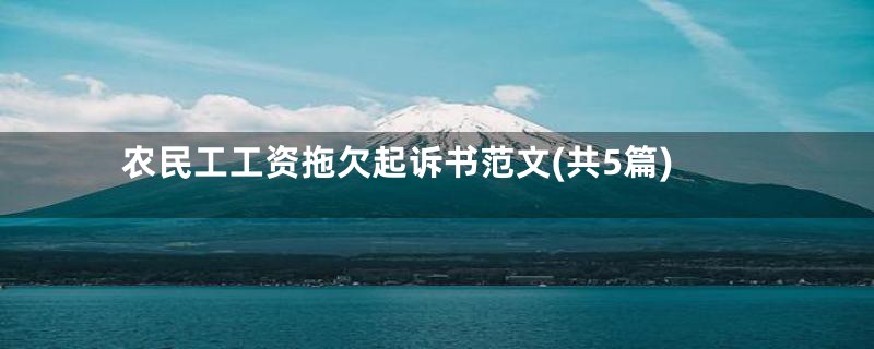 农民工工资拖欠起诉书范文(共5篇)