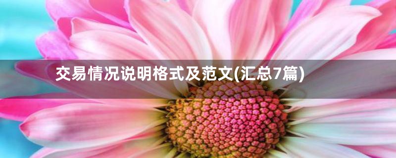 交易情况说明格式及范文(汇总7篇)